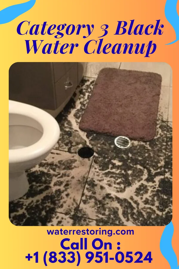 Category 3 Black Water Cleanup in Baileyton, TN
