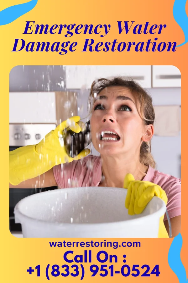 Emergency Water Damage Restoration in Baileyton, TN